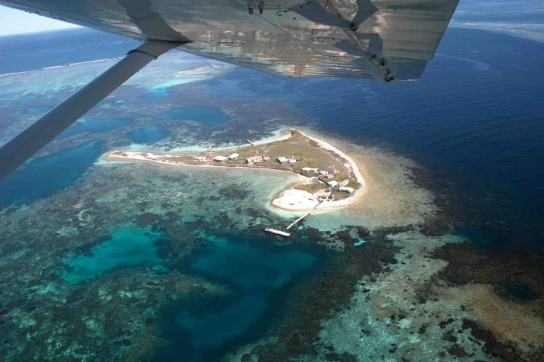 Abr Beacon Traitors and reef 3