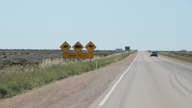 IMG 3007 IMG 3007