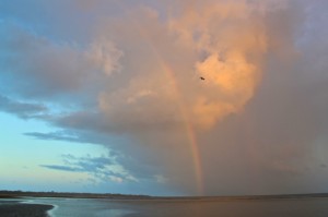 IMG_9835