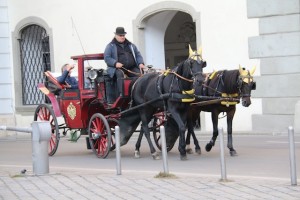Horse-drawn tour of the city
