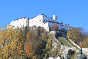 IMG_1513