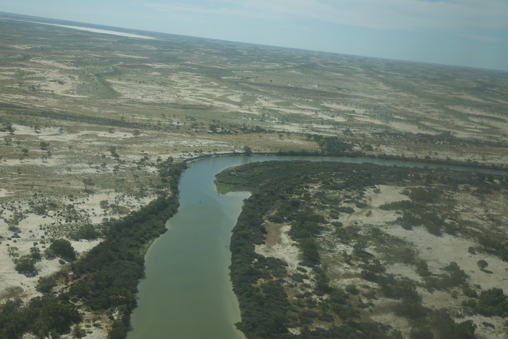 Trevor said he'd never seen the desert so green. This is the Diamantina