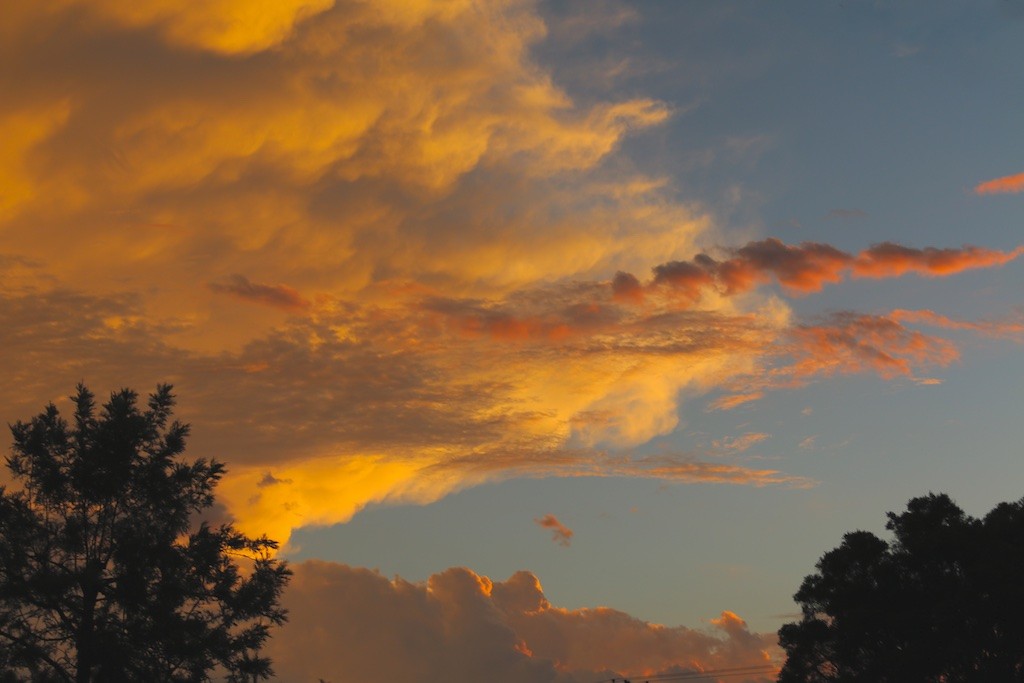 Sky1