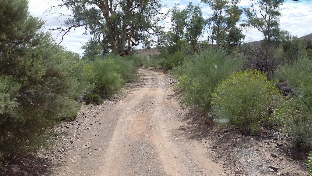 image 1 Bush-bashing