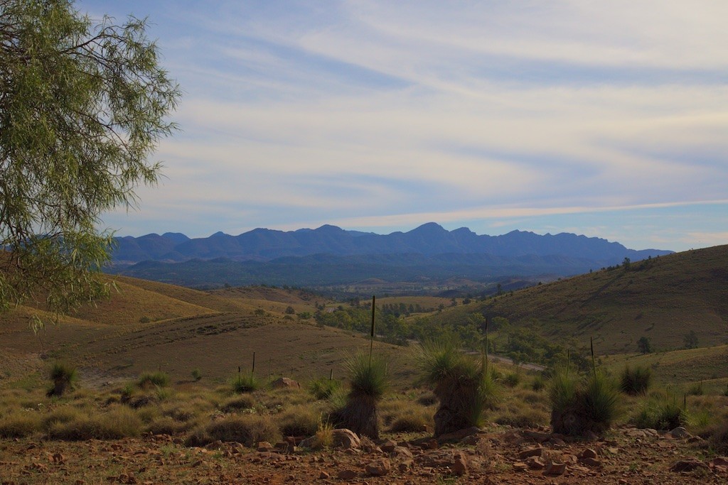 The walls of Wilpena Pound 