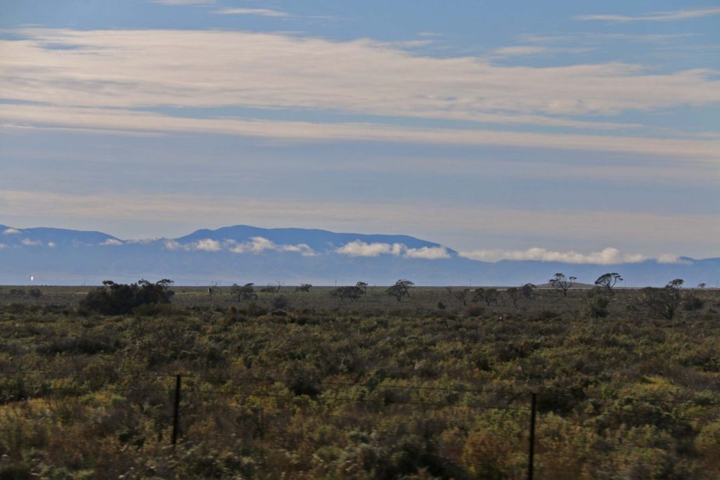 IMG 5032 2 Flinders Ranges