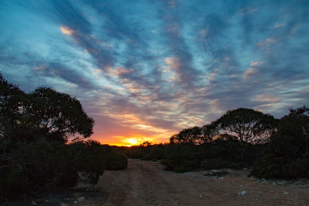 Sunrise in the desert at Border Village, SA