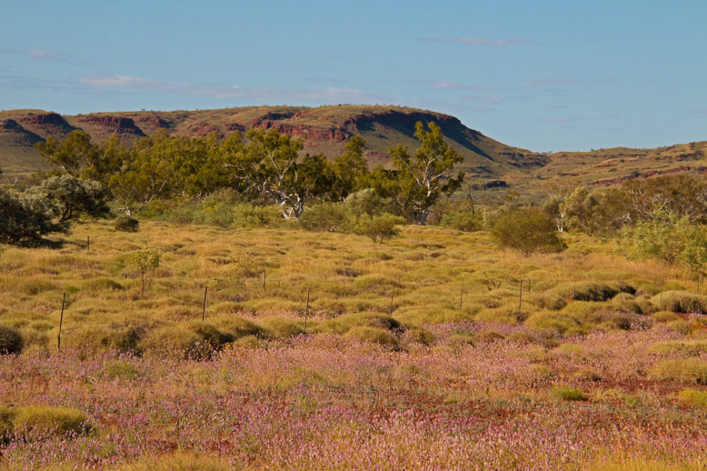 I love the colours in the Pilbara