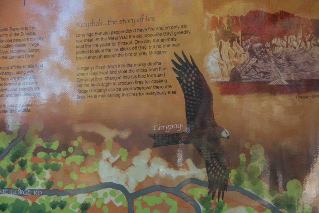 The story of the black kite. And you do see this bird wherever there's a fire