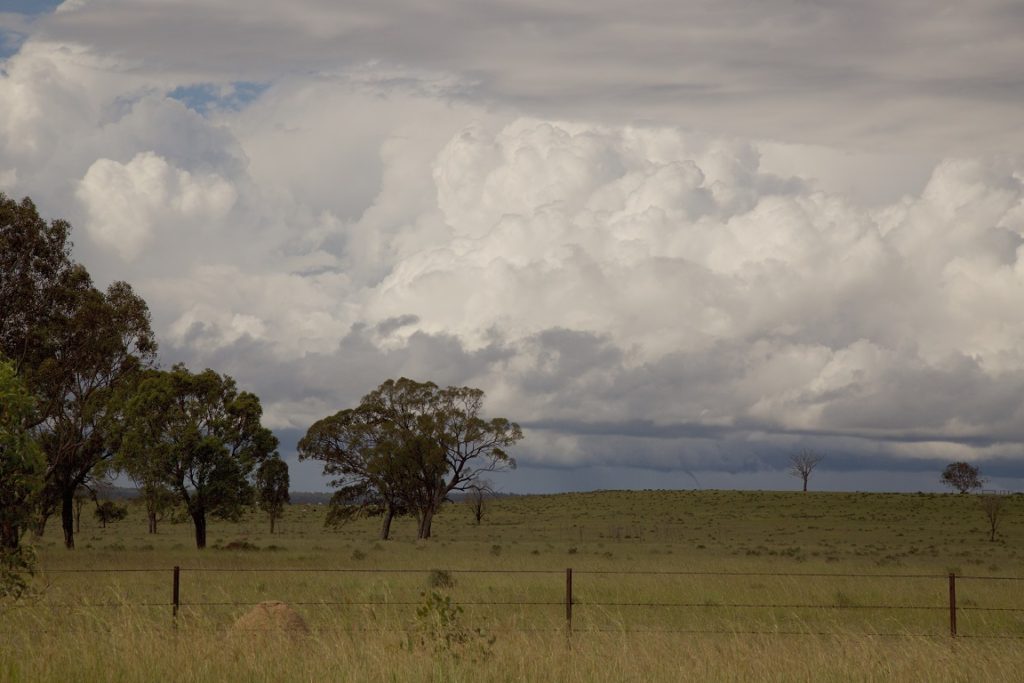 Summer storm with tornado A summer storm piles up on with a tornado touching down on the horizon