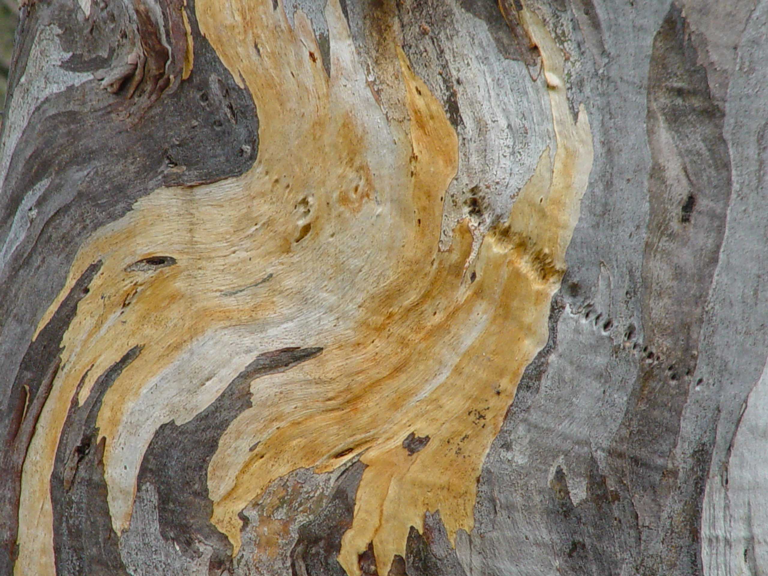 Dsc02281