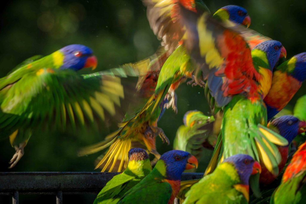 5V3A8894 1