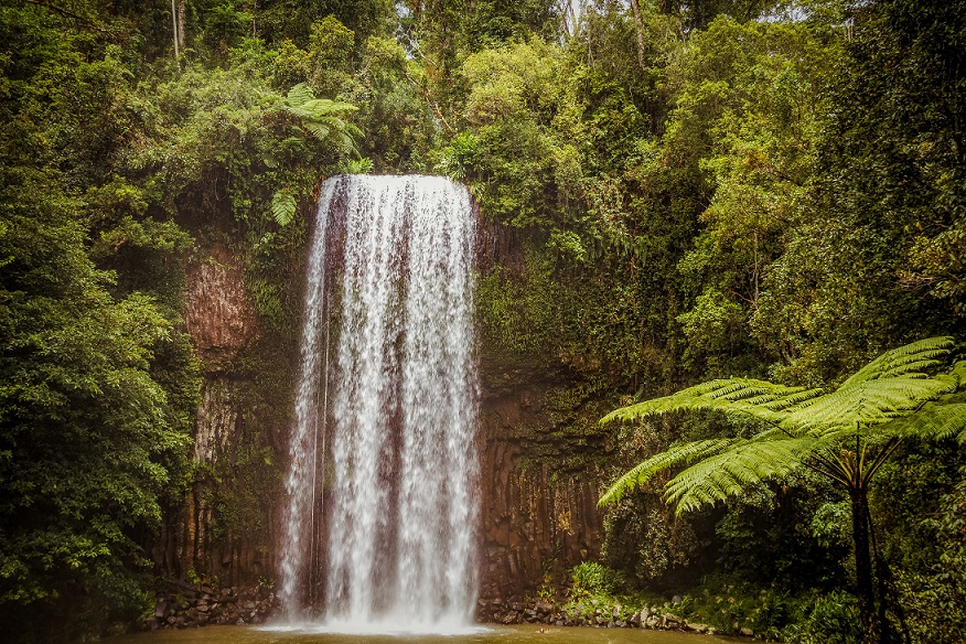 Millaa Millaa falls