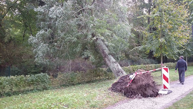 storm damage