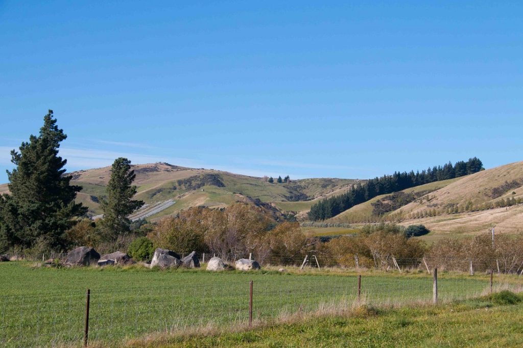 Greystoke