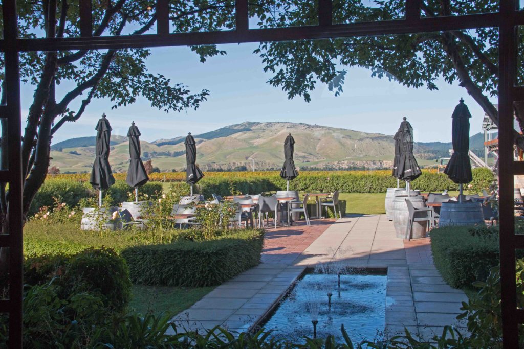 Hills vines