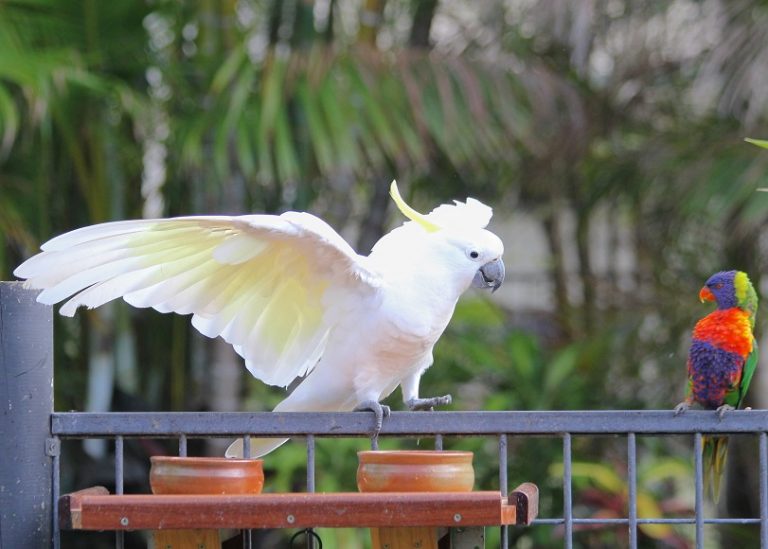 What have you got