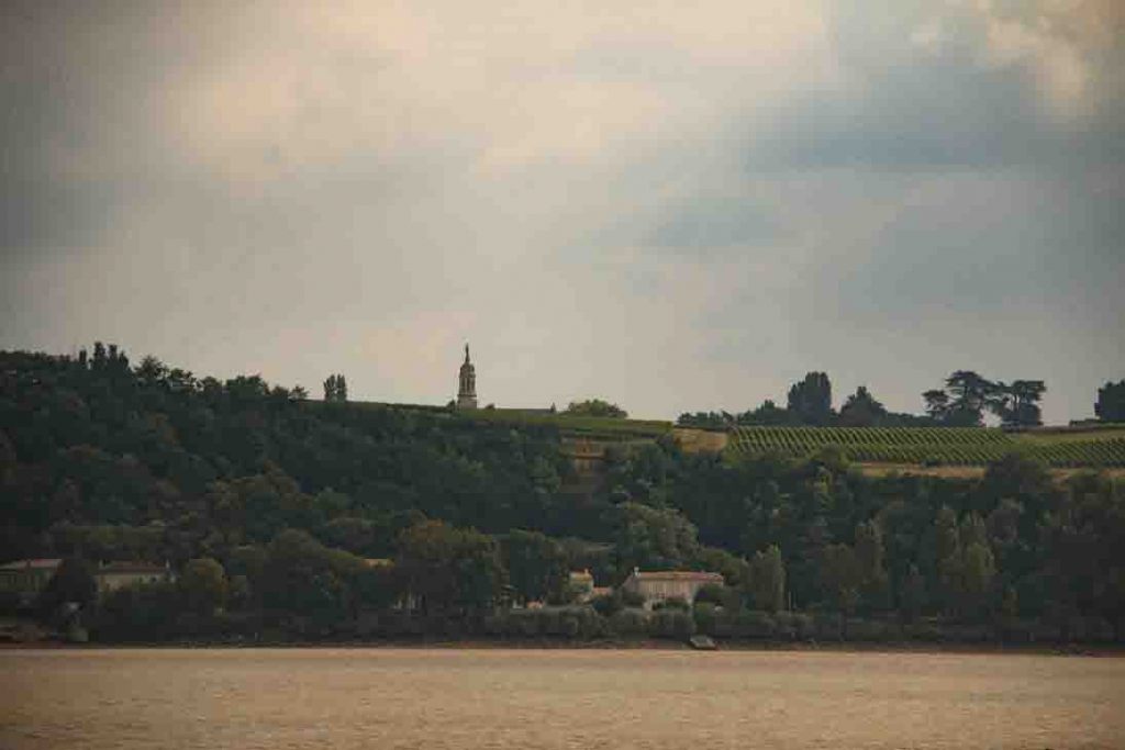 IMG 3145 IMG 3145