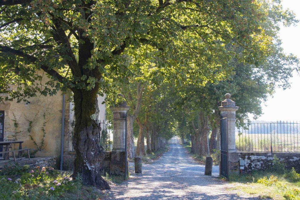 Roman road