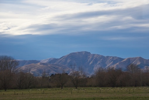 Sheep graze in fields below the rugged hills