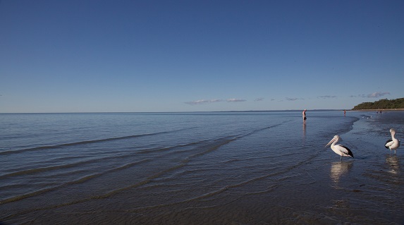 Winter at Hervey Bay