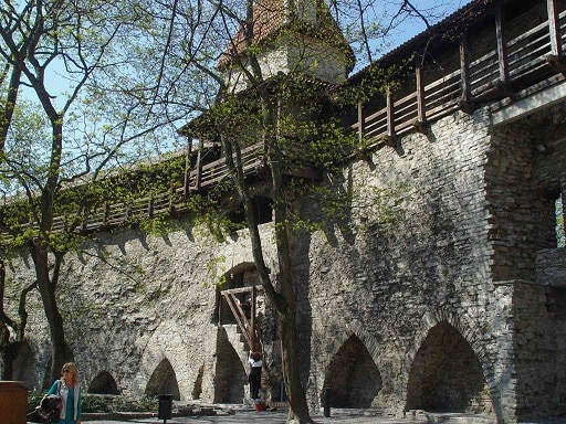 DSC00924 DSC00924