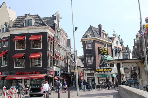 IMG 0546