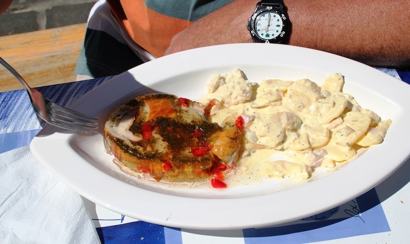 jellied eel