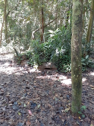 shooting bunker