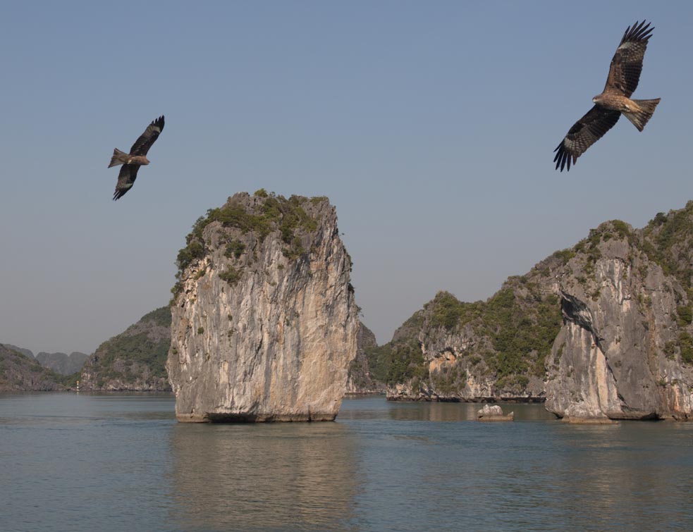 Ha long Bay with 2 raptors Ha long Bay with 2 raptors