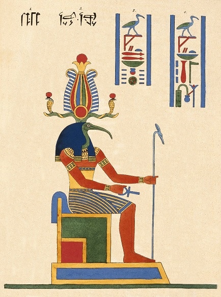 ibis thoth