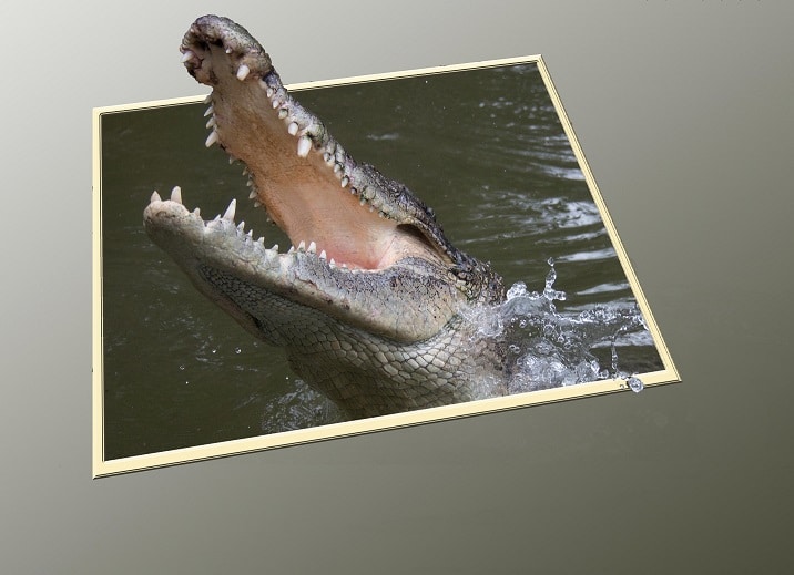 Croc out of bounds