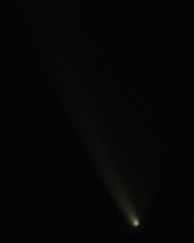 Comet McNaught