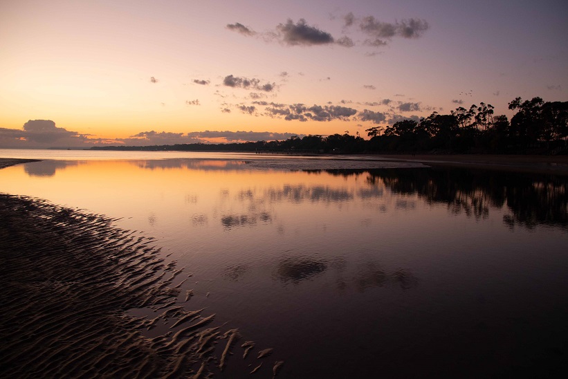 Dawn 1