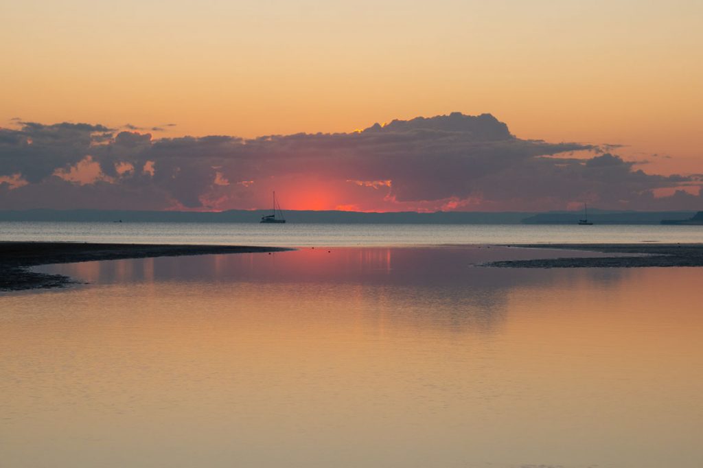dawn 6
