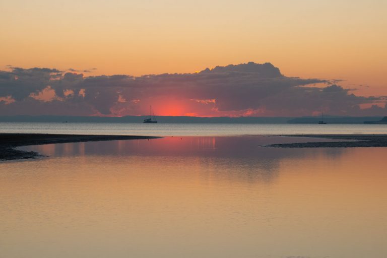 dawn 6
