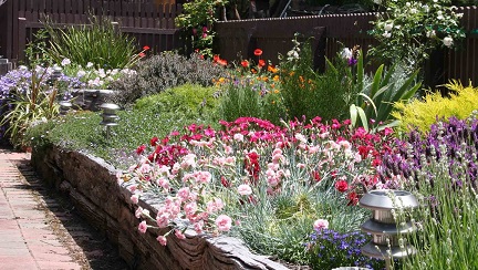 back border 3