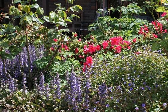 front border