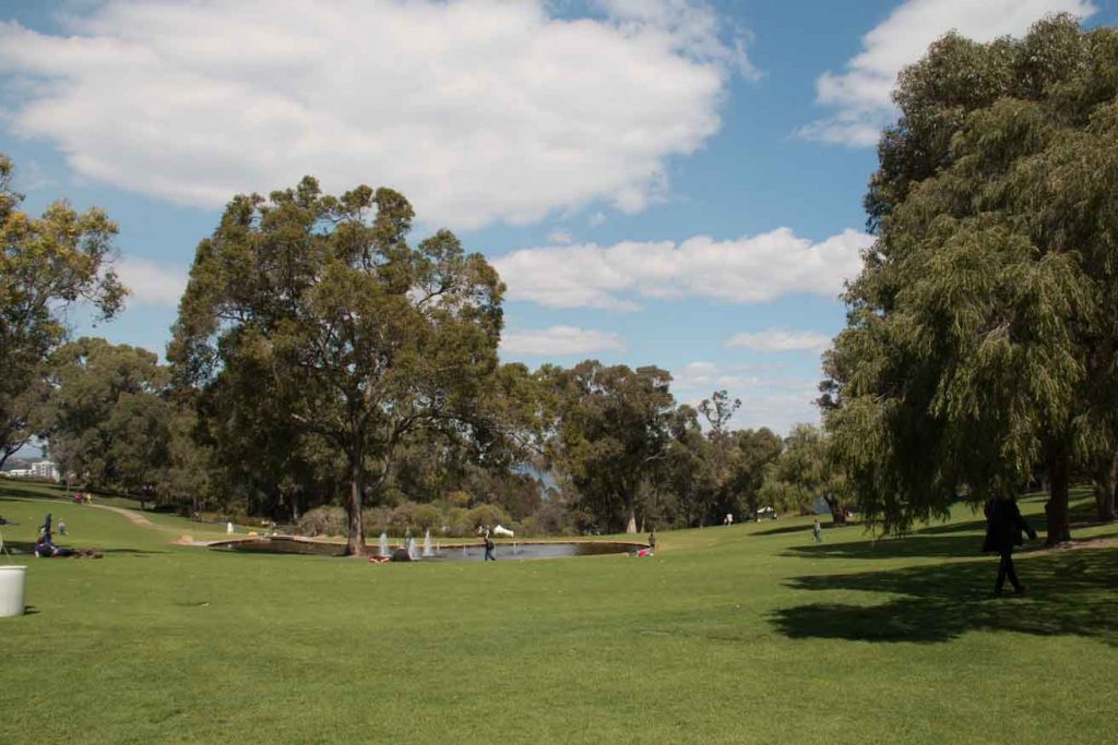 Kings park open space