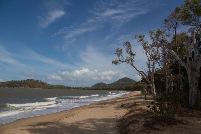 Beach Palm cove