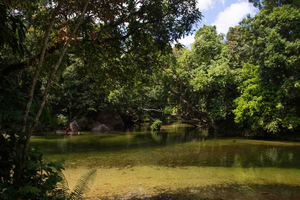 A deep peaceful pool overhung by greenery at the top of the Babinda Boulders