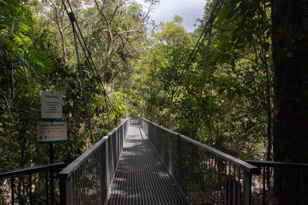 Bridge Mossman