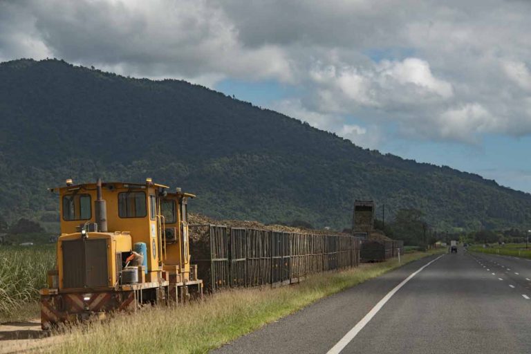 Cane train