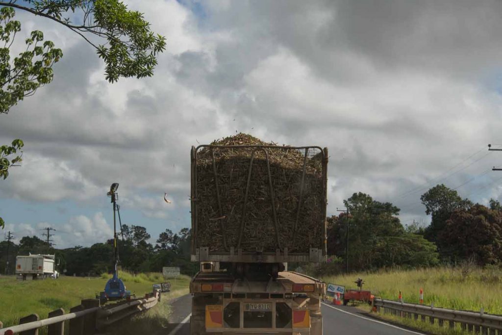Cane truck Cane truck