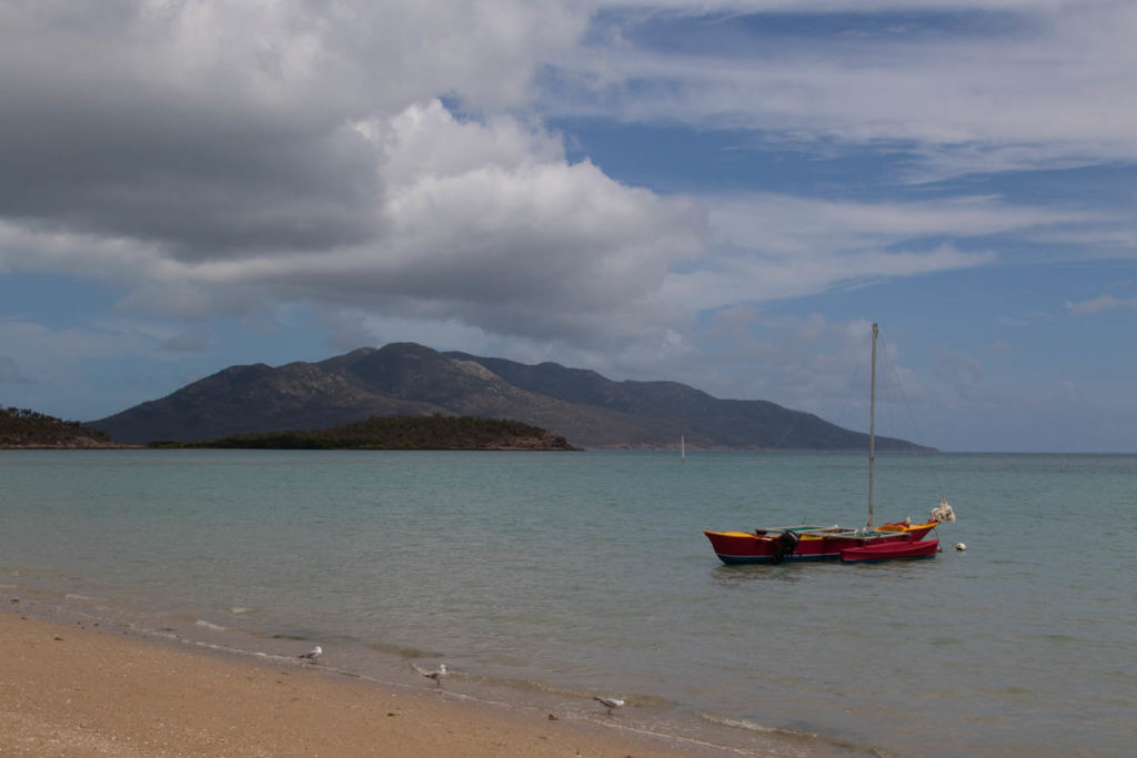 Dingo beach