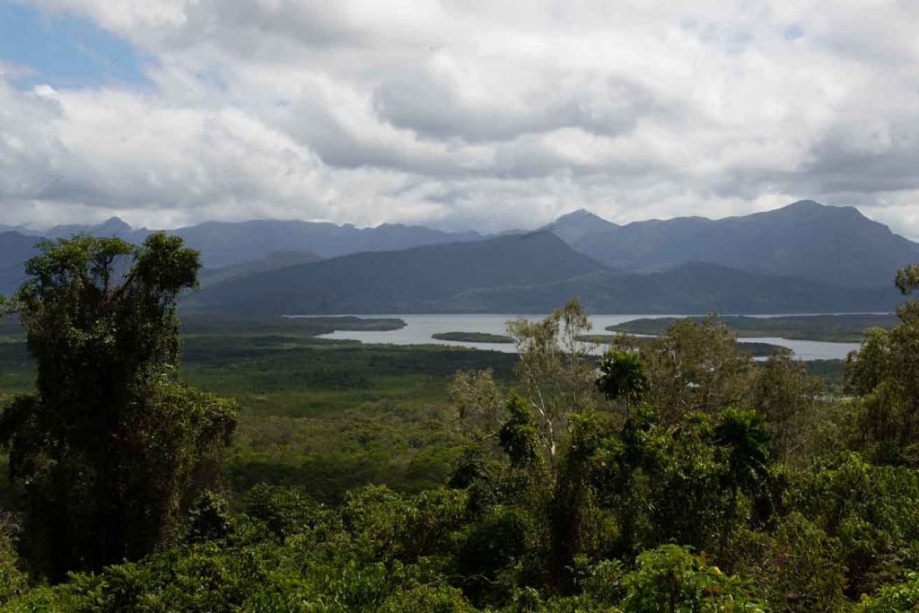 a view over the rain forest to Hinchinbrook Island