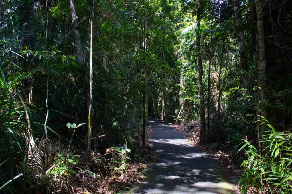 The path to Devils Pool