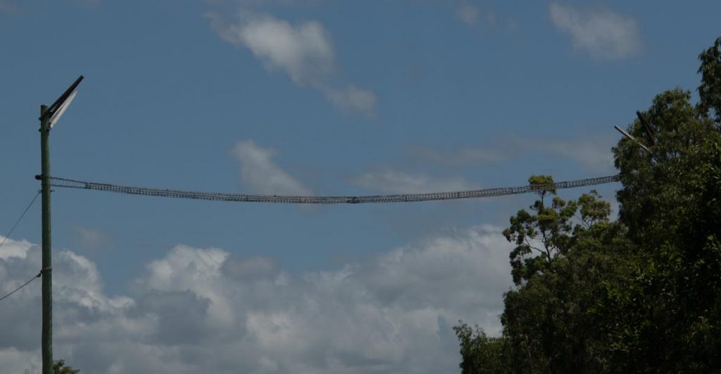 A wildlife bridge crosses the Bruce Hwy as we drive to Cardwell