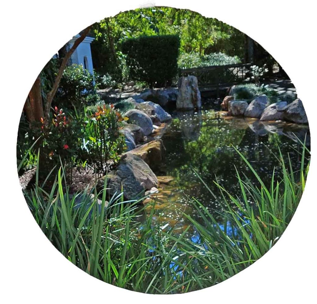 Chinese garden