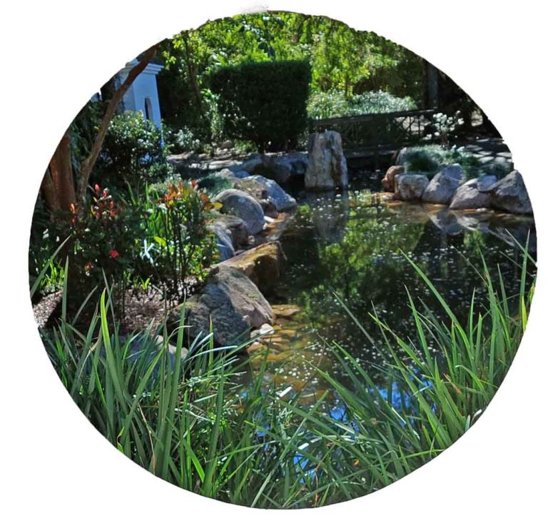 Chinese garden